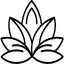 Chasmaskin logo