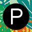Palladio logo