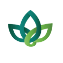 Phdfemininehealth logo