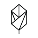 Pique Life logo