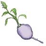 Tinyturnip logo
